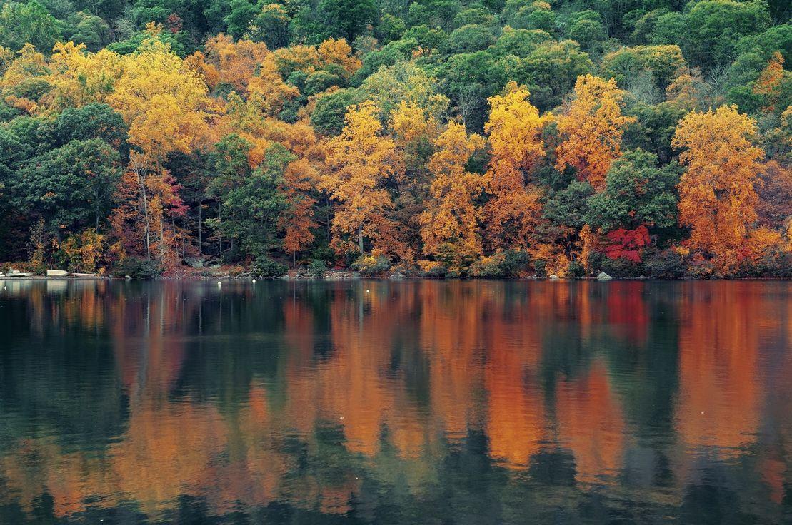 158-donguselligin-izinde