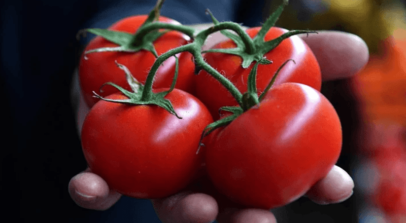 Türkiye’nin gıdası kimin kontrolünde: Çiftçinin mi, devletin mi, birkaç büyük marketin mi?