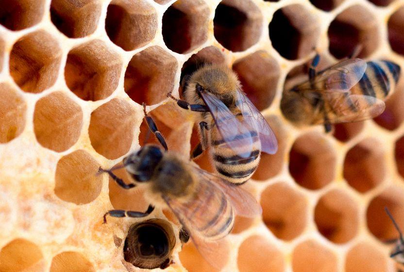 doganin-dongusunden-tasarima