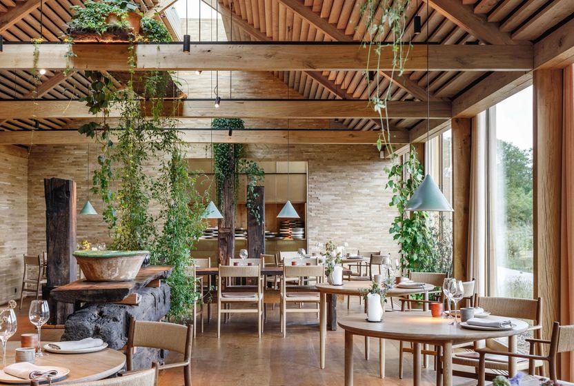 kral-ciplak-nomada-neler-oluyor