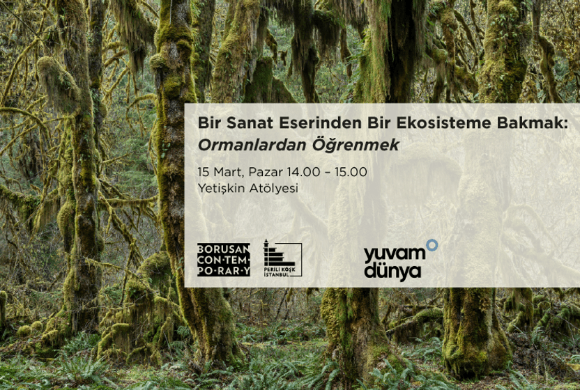 bir-sanat-eserinden-bir-ekosisteme-bakmak-ormanlardan-ogrenmek