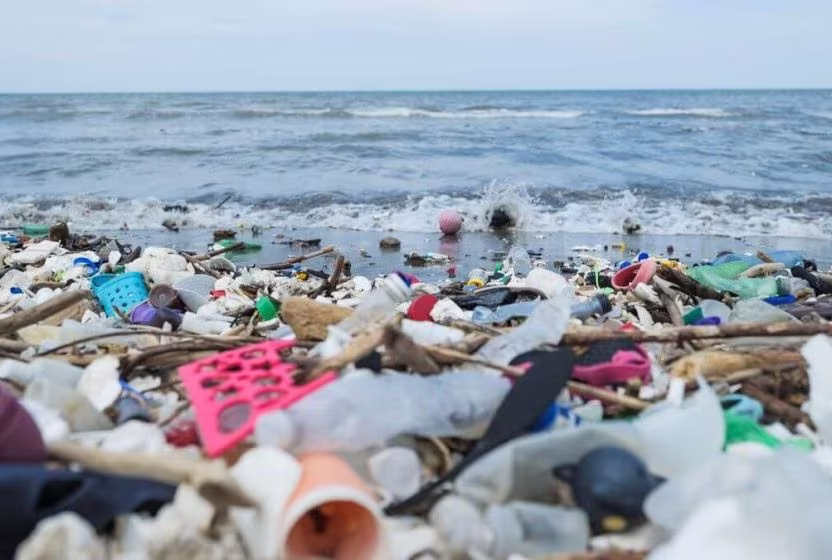 Dijital çağ kolonyalizminin yeni adı: Plastik atık sömürgeciliği