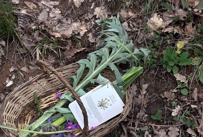 Doğaya dönüşün ilk dalgası: Foraging'in yeniden keşfi